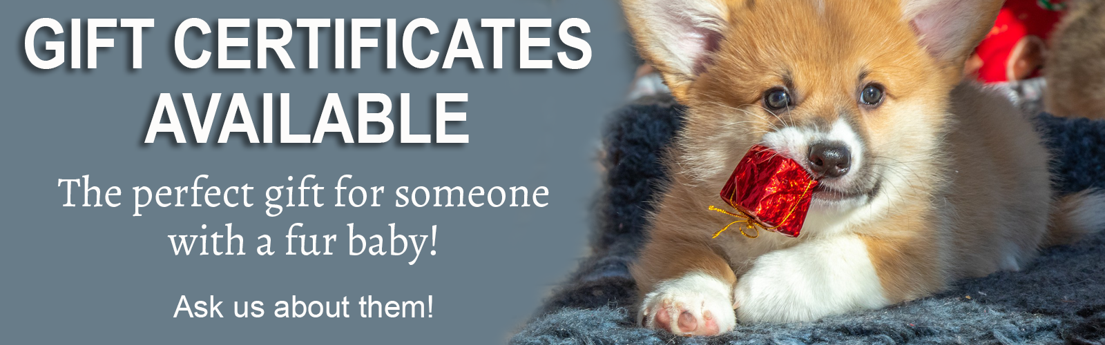 gift certificates
