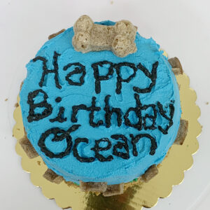 A birthday cake for dogs