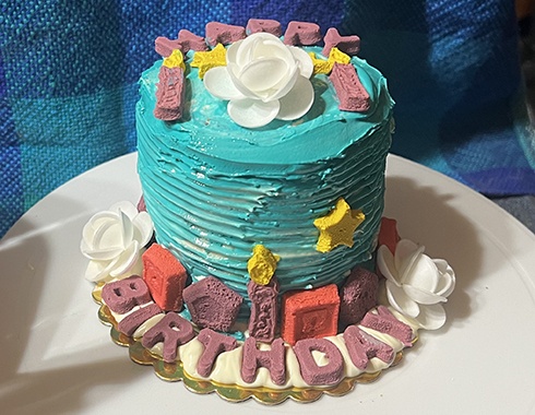 Bad Dog Bakery creates adorable birthday cakes for your fur babies — no matter what their age is.